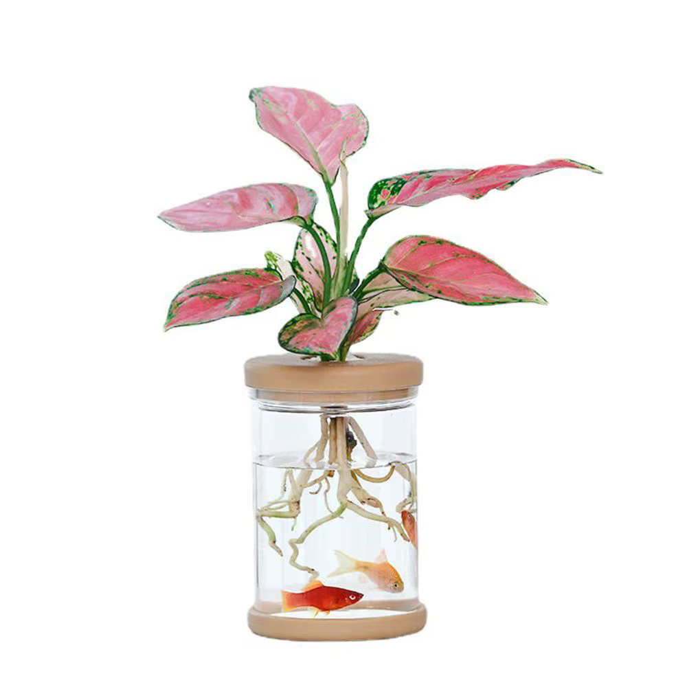 Vase hydroponique en plastique transparent pour la décoration de la maison