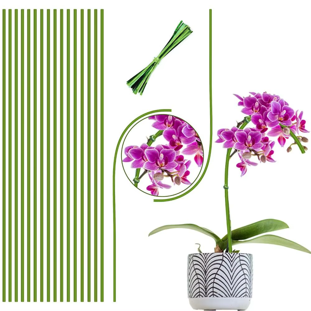 Bâtons de plantes à tige unique
