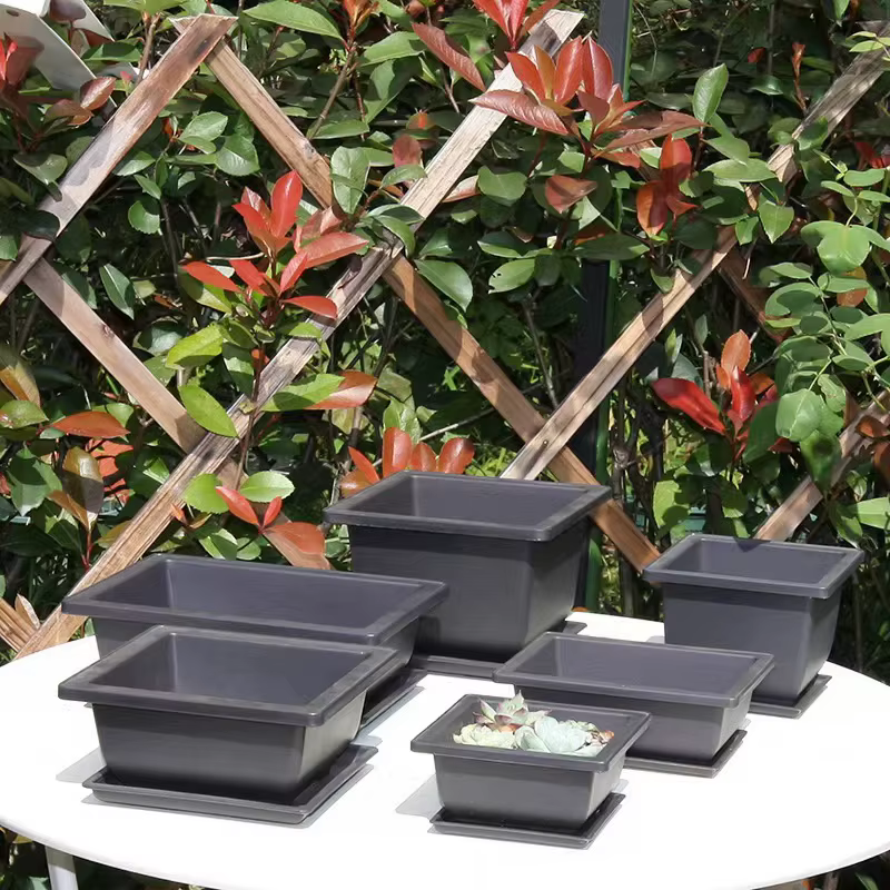 Pot de fleurs de bonsaï en plastique