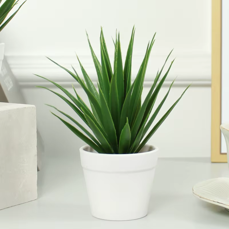 Simulation de plantes en pot