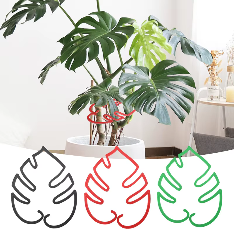 Monstera Support pour plantes