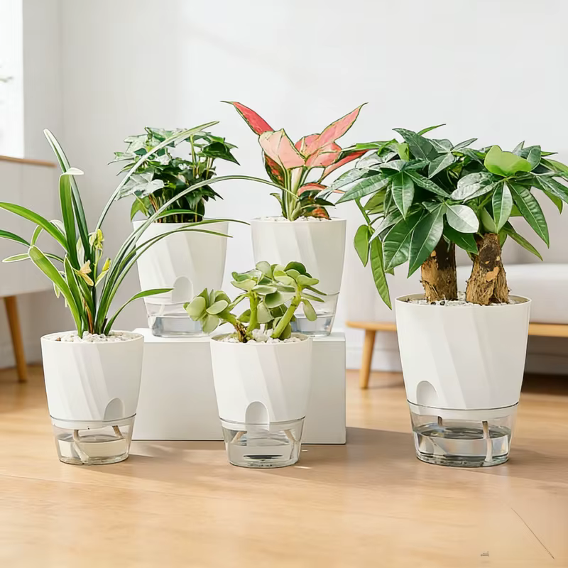 Pot de fleur de radis vert auto-arrosage en plastique Transparent épaissi à usage domestique