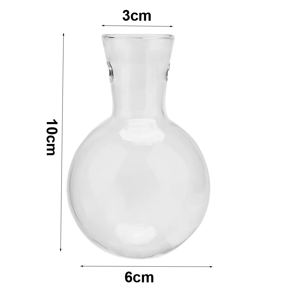 Vase en verre pour plantes hydroponiques