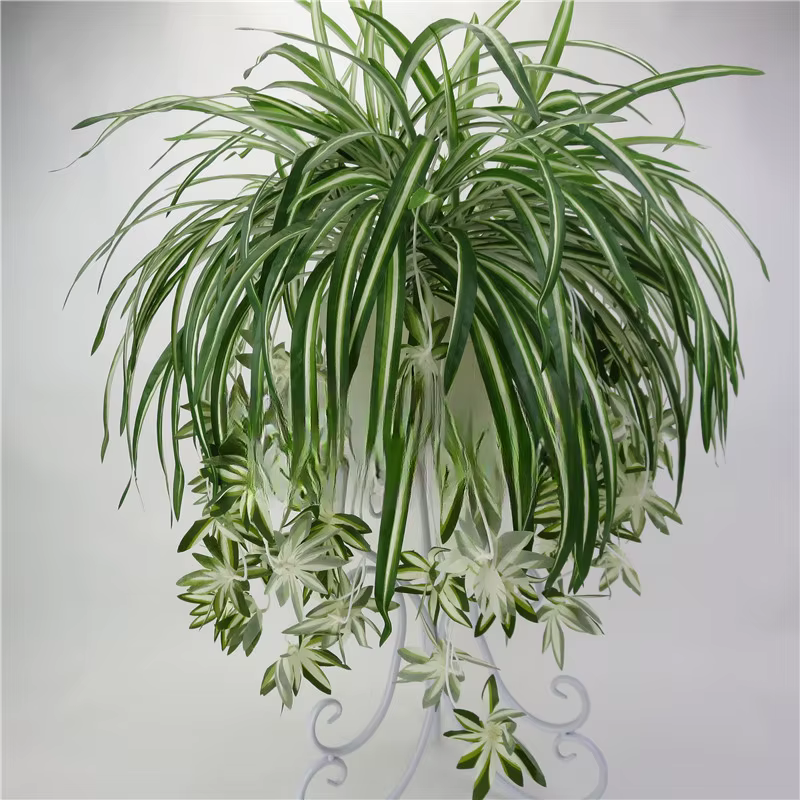 Plantes artificielles murales suspendues Chlorophytum