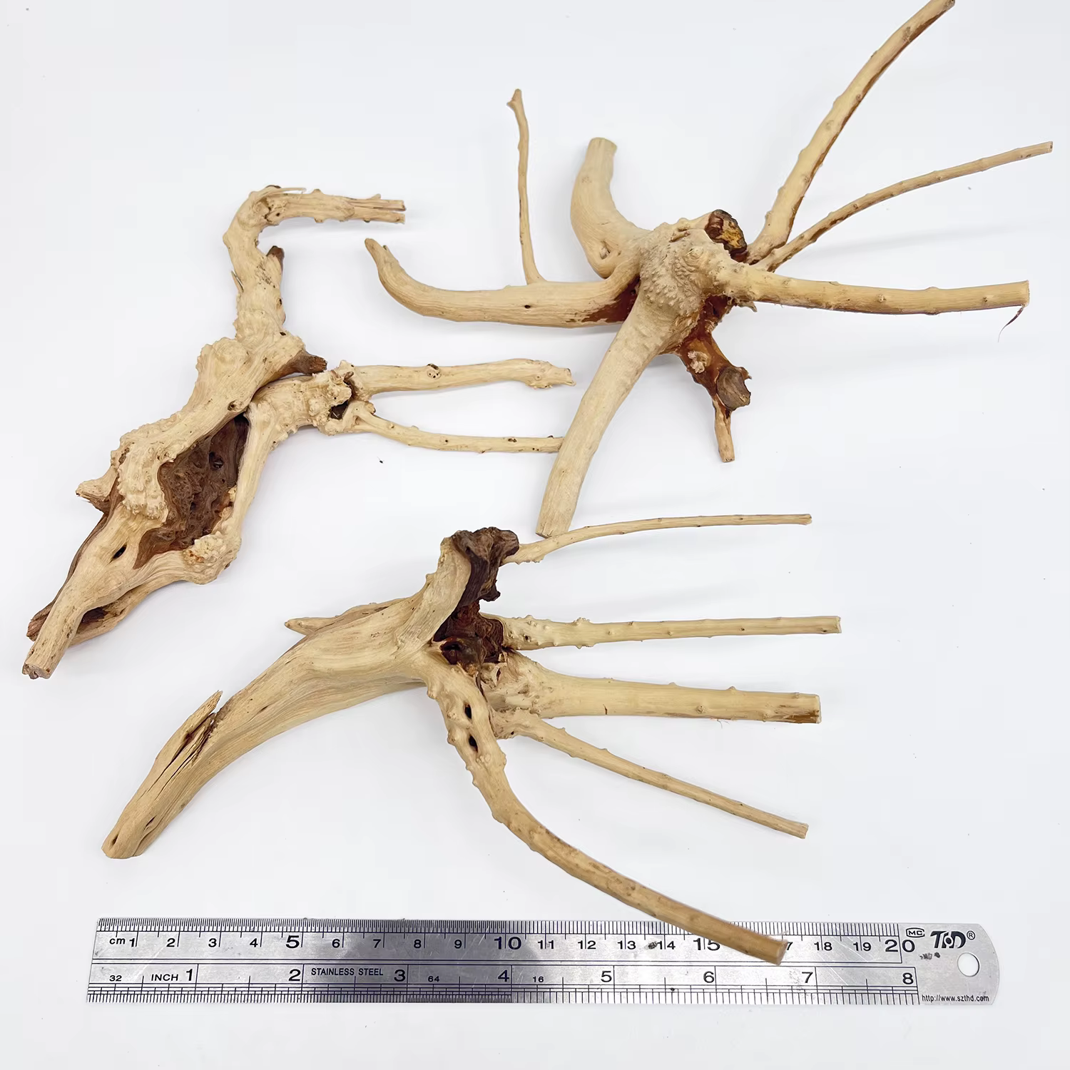 Décor d'aquarium de racine de Rhododendron naturel