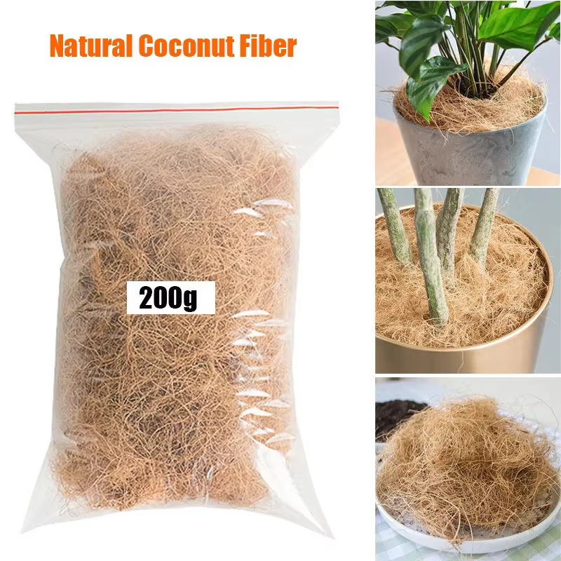 Couvercle de pot de fleurs en fibre de cosse AMP naturelle