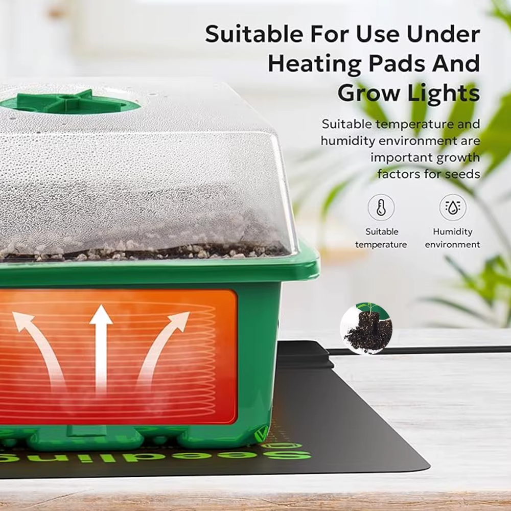 Kit de lancement de plantes de plateau