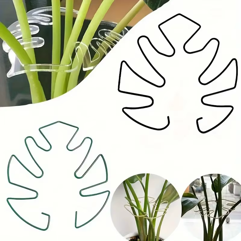 Piquets pour plantes Monstera