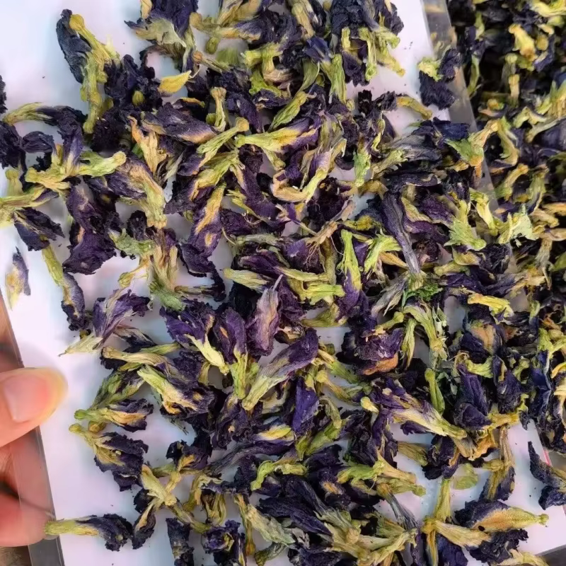 Orchidée naturelle à pigments organiques de qualité supérieure