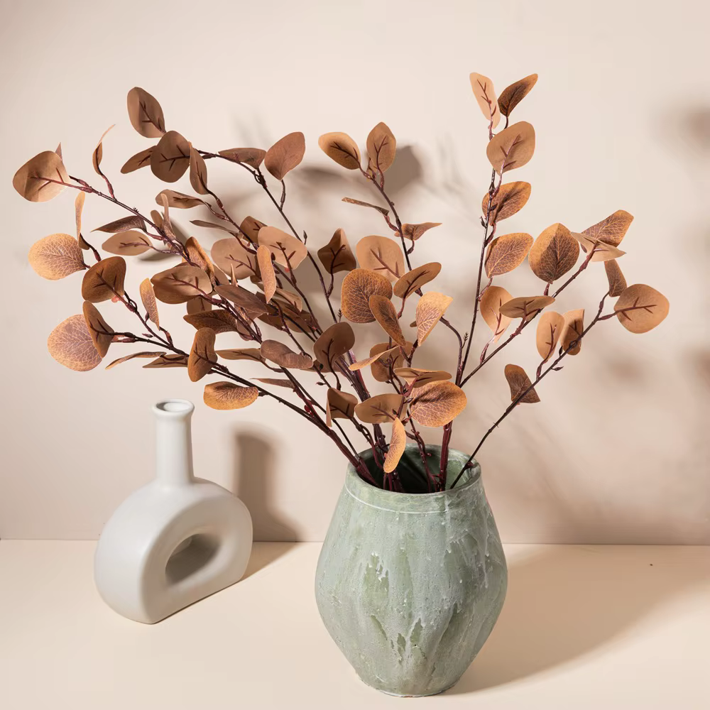 Feuilles d'eucalyptus vertes