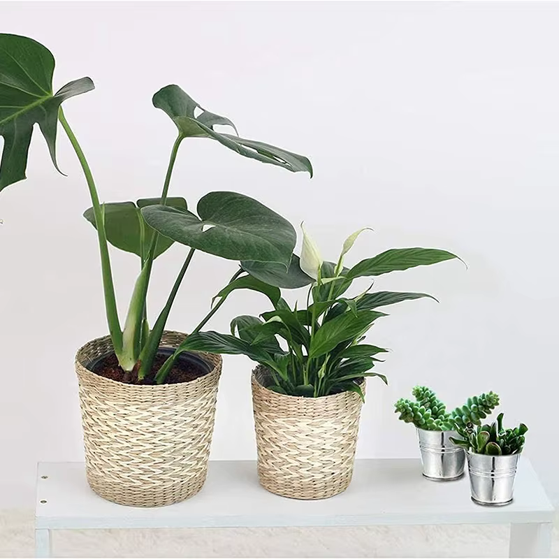 Mini seau en métal, Pot de fleur Portable