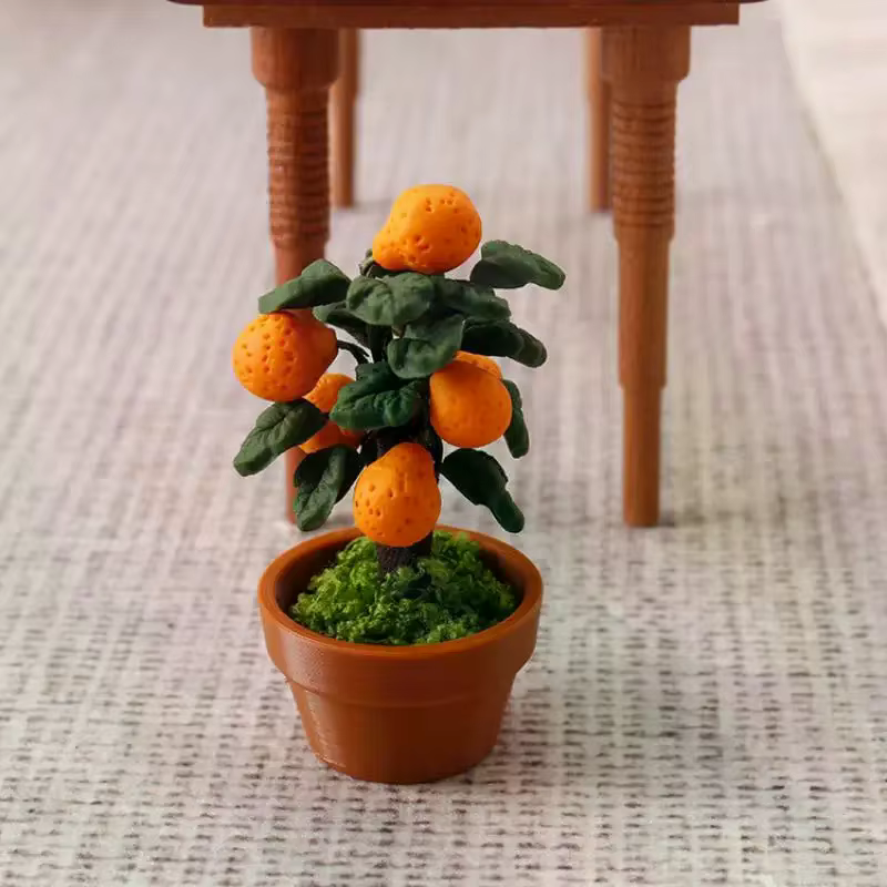 Miniature d'oranger en pot