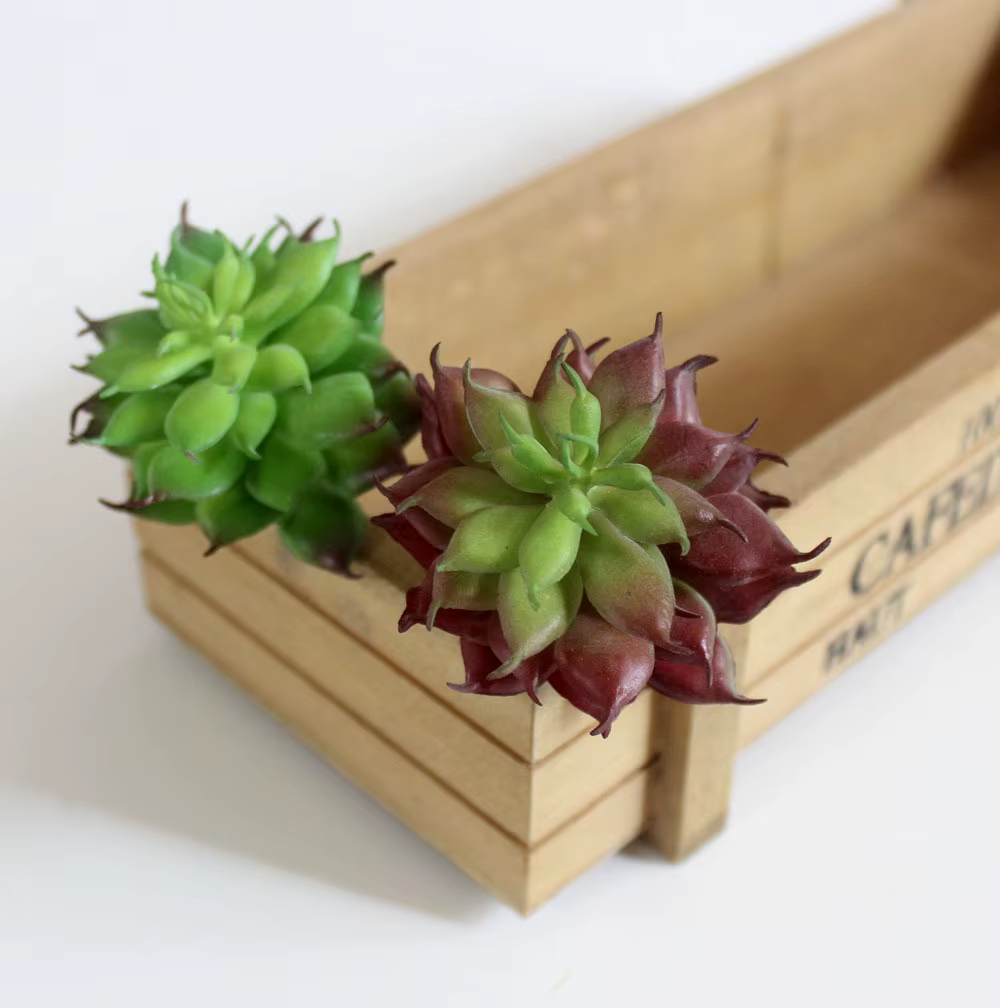 Mini plantes succulentes artificielles Lotus