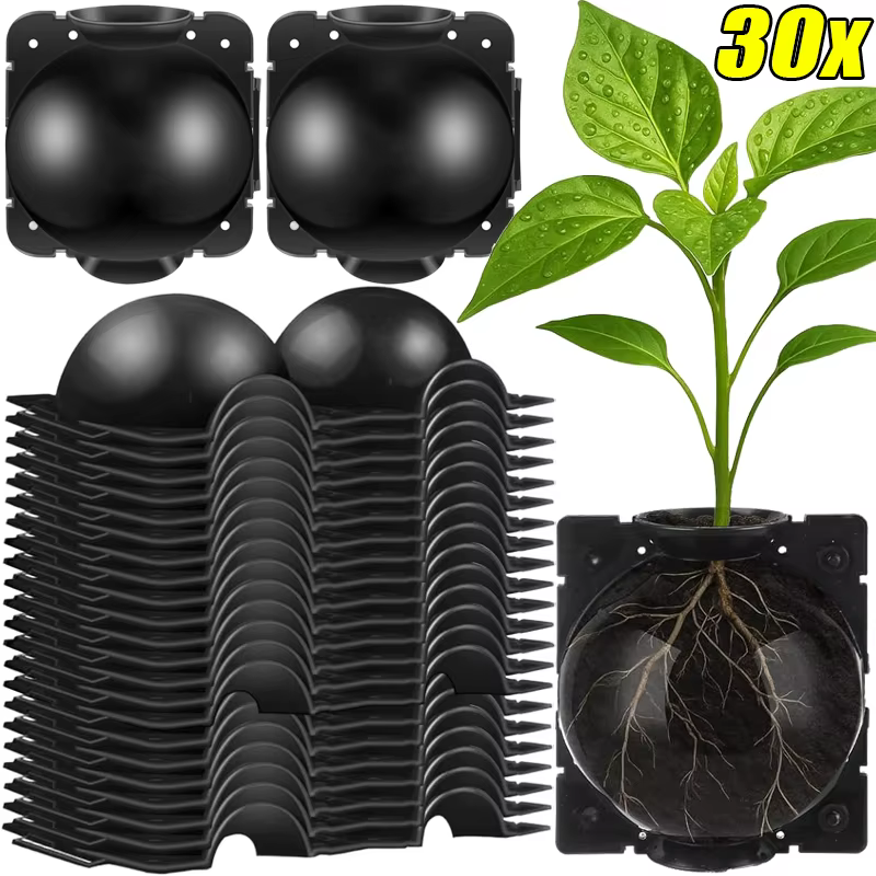 Lot de 5/30 boules de bouturage haute pression pour plantes