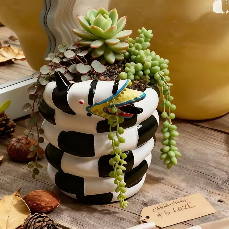 Pot de fleurs en spirale créatif