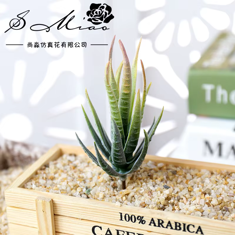 Wusmart Ban Ma Lu Hui plantes succulentes artificielles bricolage accessoires d'arrangement floral bureau Mini bonsaï tête de fleur
