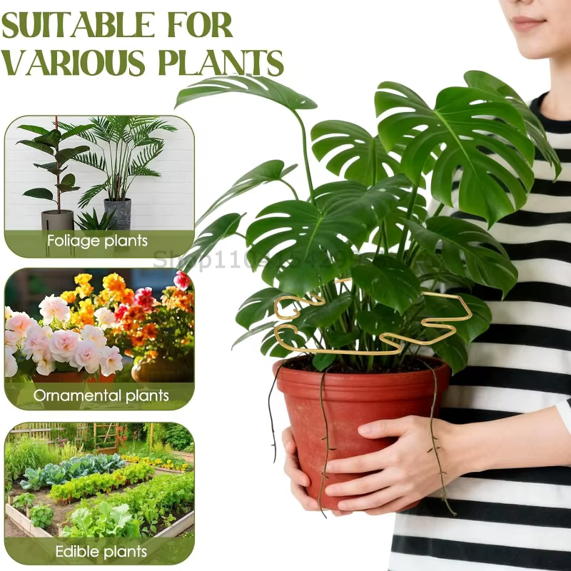 Support robuste pour grande plante Monstera