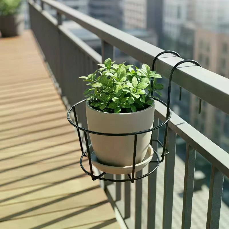 Supports en fer pour plantes suspendues