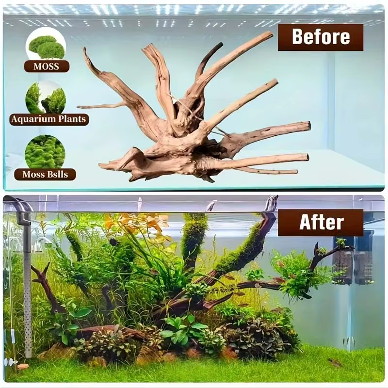 2 pièces de bois flotté décoratif pour aquarium