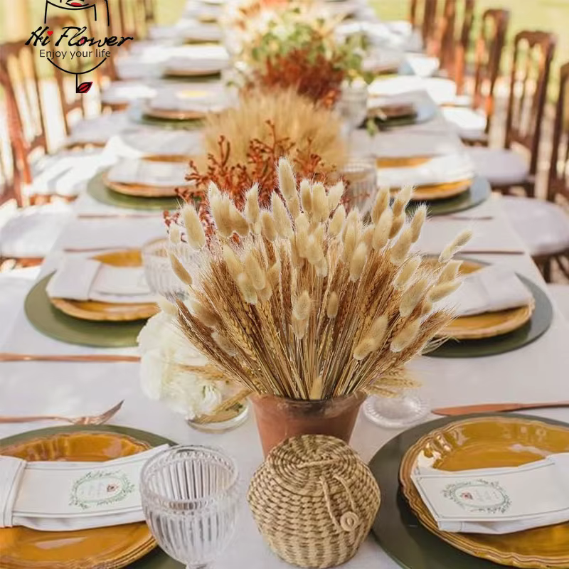 160 Pièces de Fleurs Séchées Naturelles en Épis de Blé pour Décoration Bohème