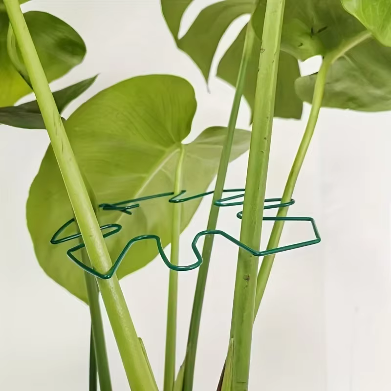 Grand support pour plantes suspendues