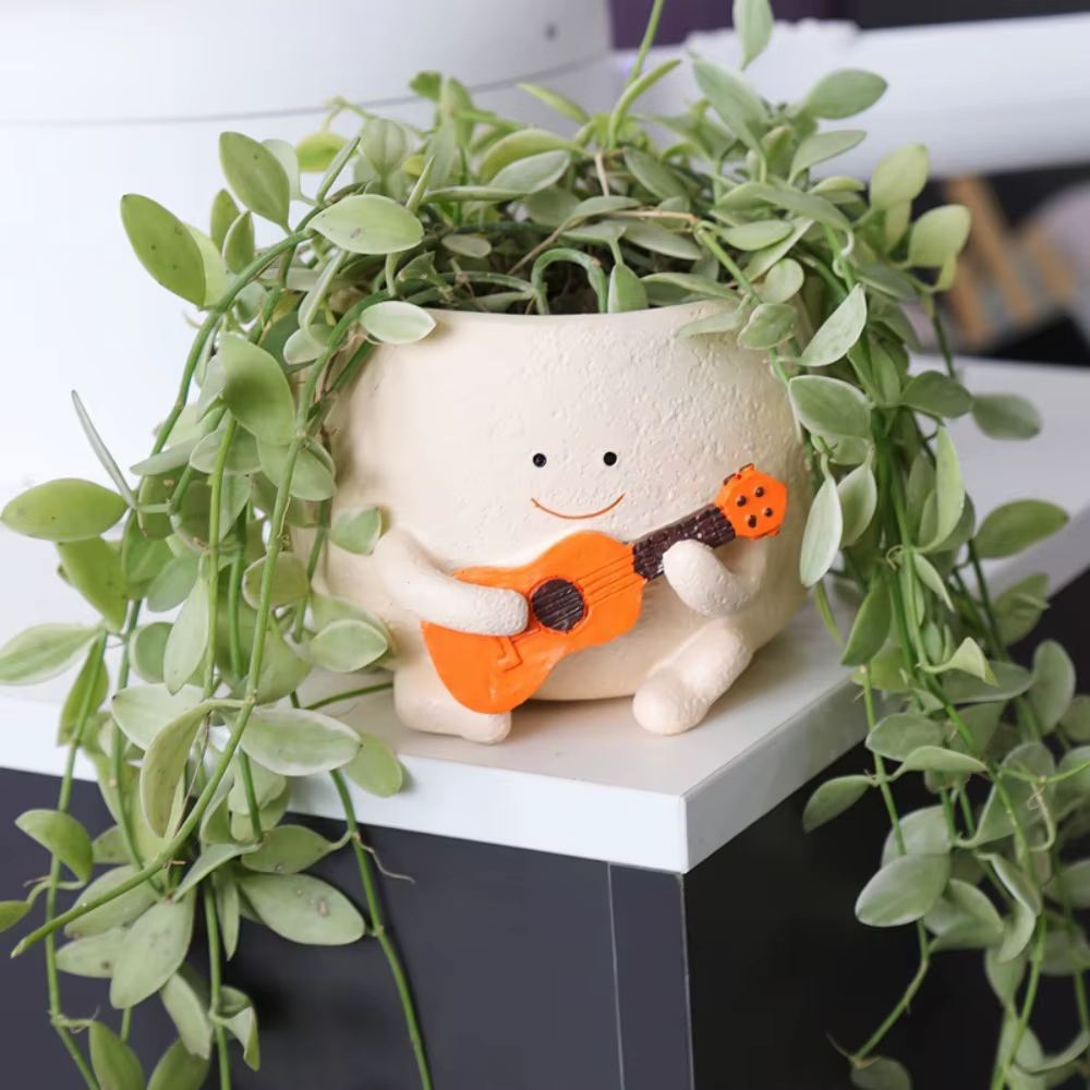 Pot de fleurs succulentes en forme de guitare