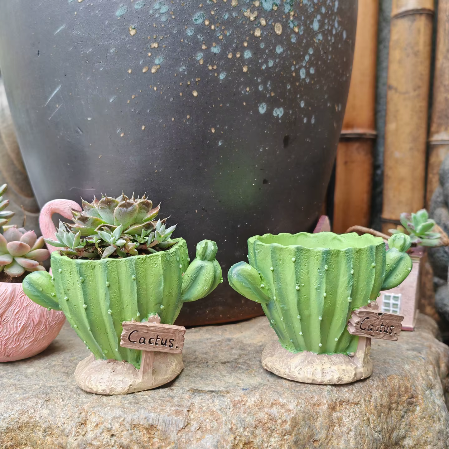 Pot de fleurs pour cactus