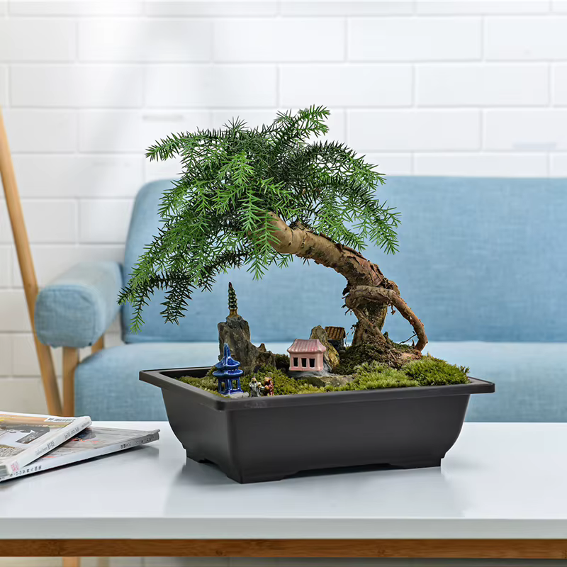 Pots De Fleurs Rectangulaires Carrés En Plastique