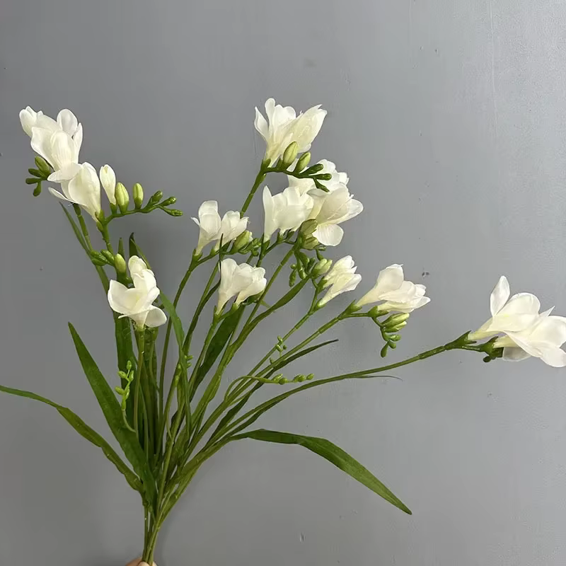 Simulation de Branches de Freesia