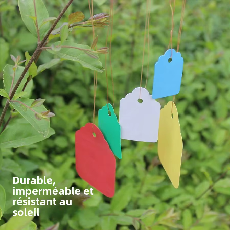 Étiquettes de plantes réutilisables
