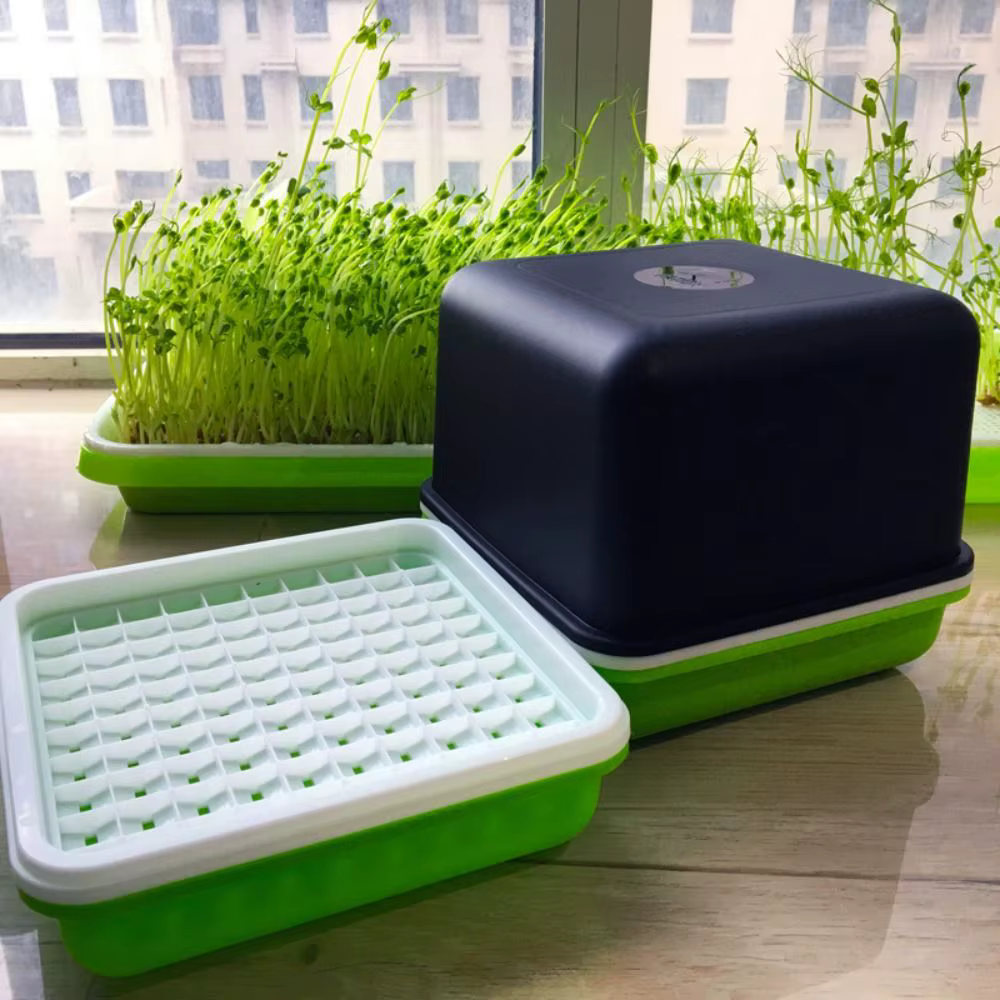 Plante hydroponique respirante