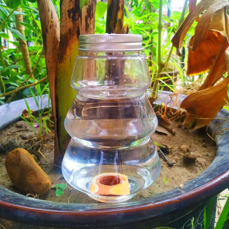 Arroseur automatique de fleurs pour la maison