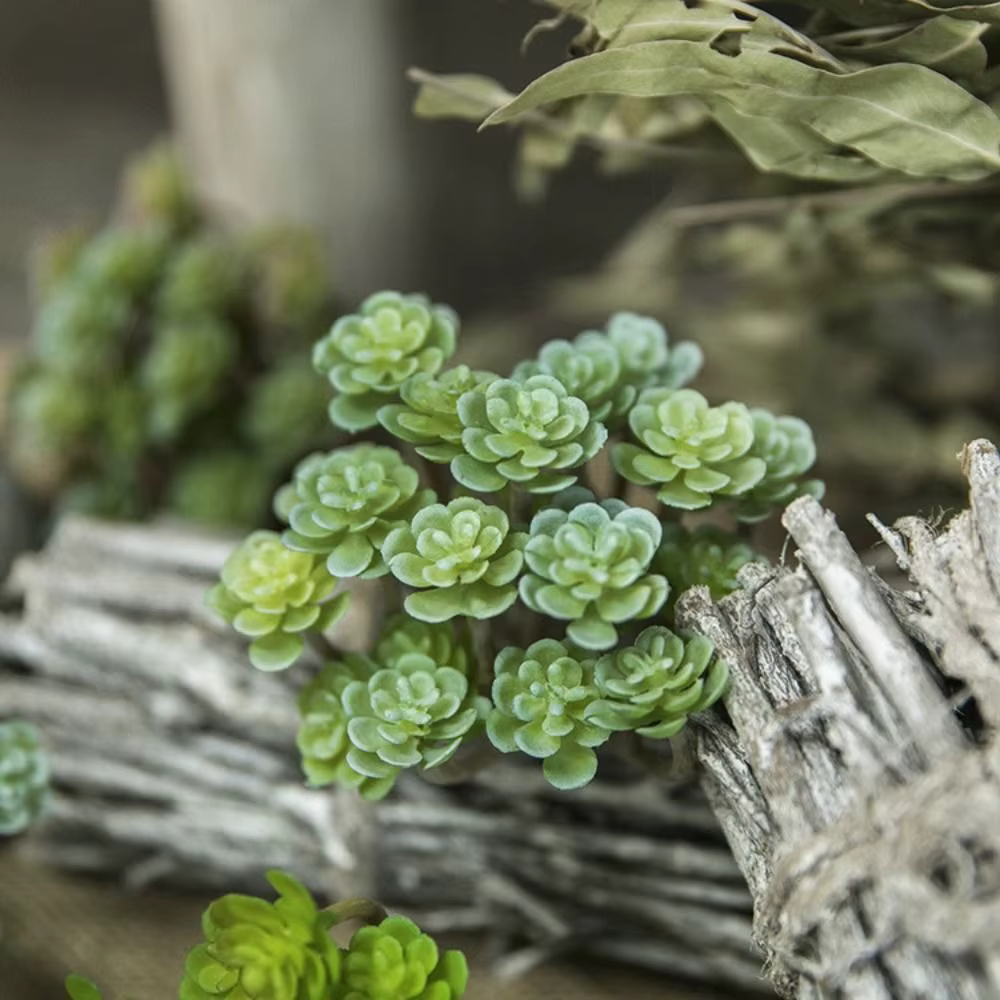 Succulentes artificielles à double face floquée