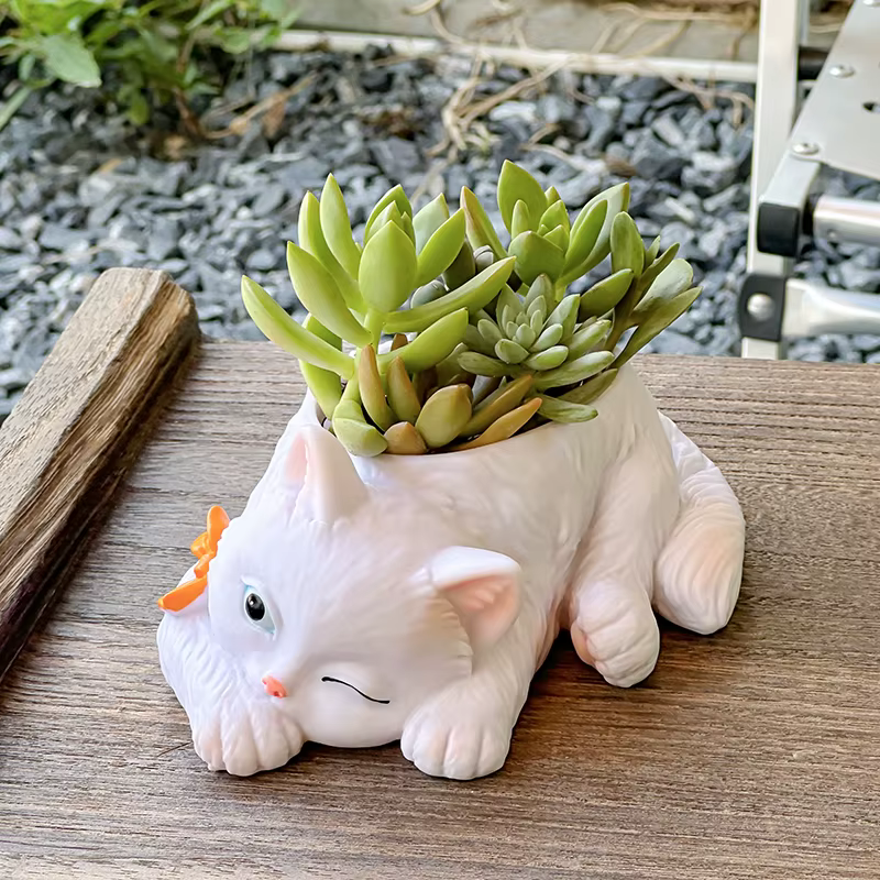 Pot de fleurs succulentes chat mignon