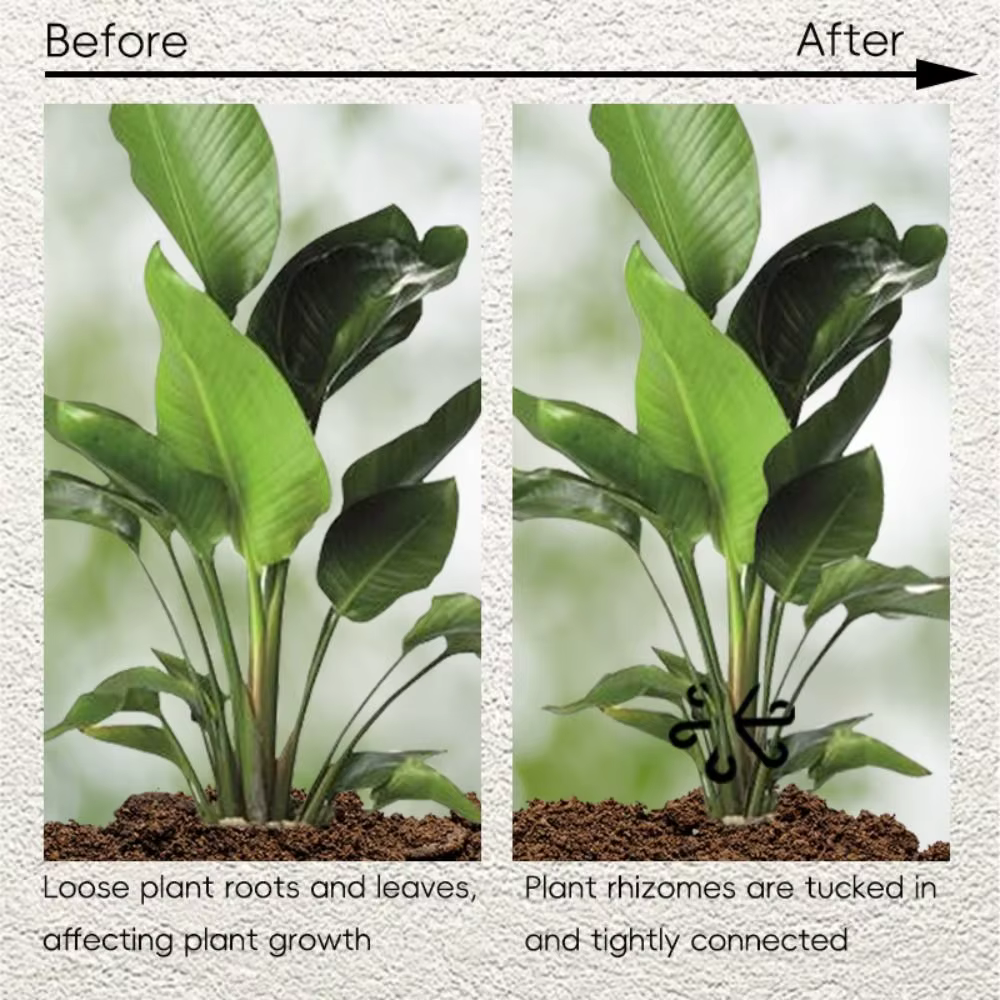 Tige de plante réutilisable