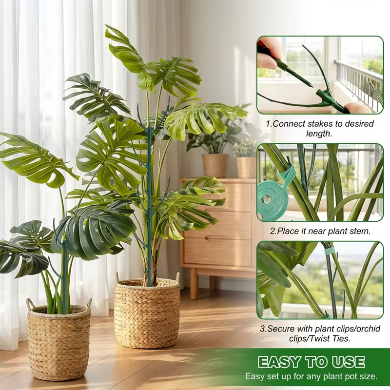 Supports de plantes en forme d'anneau empilables pour plantes vertes