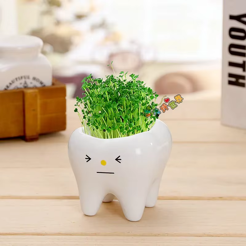 Mini pot de fleurs en céramique en forme de dent