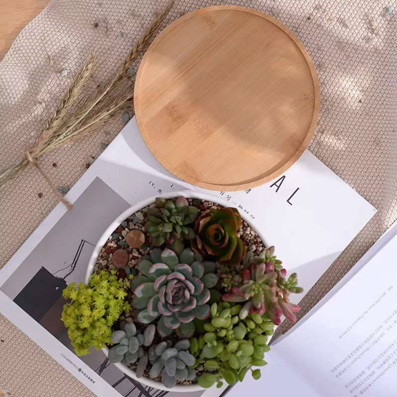 Pot de fleurs rond en céramique blanche