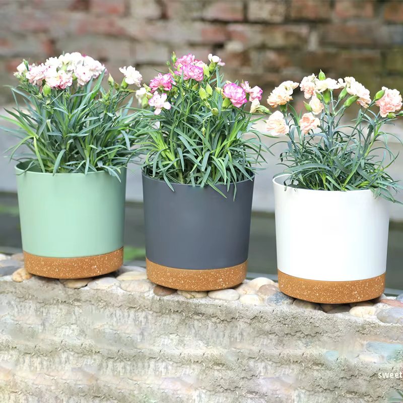 Pot De Fleur Intérieur