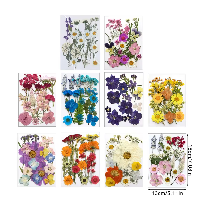 Fleur séchée pressée pour moules en résine