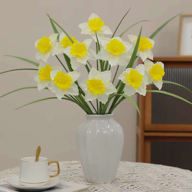 Plante de jonquille blanche