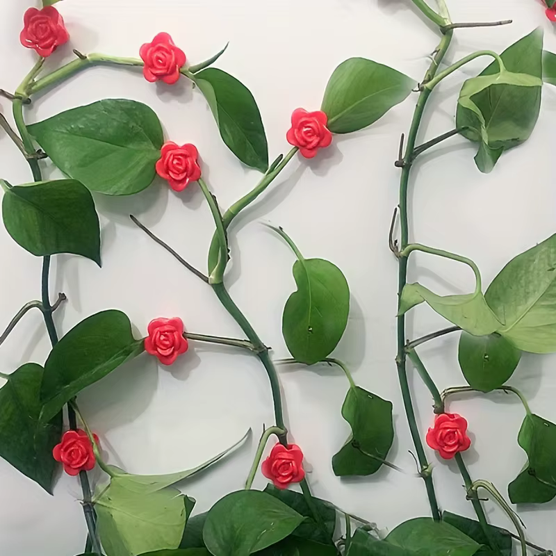 Clips de fixation murale pour plantes grimpantes