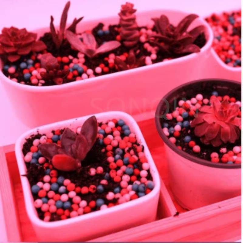 12V Led plante poussent la lumière spectre complet Phyto lampe 1m 2m 3m 5M bande pour graines fleur serre tente plantes hydroponiques éclairage