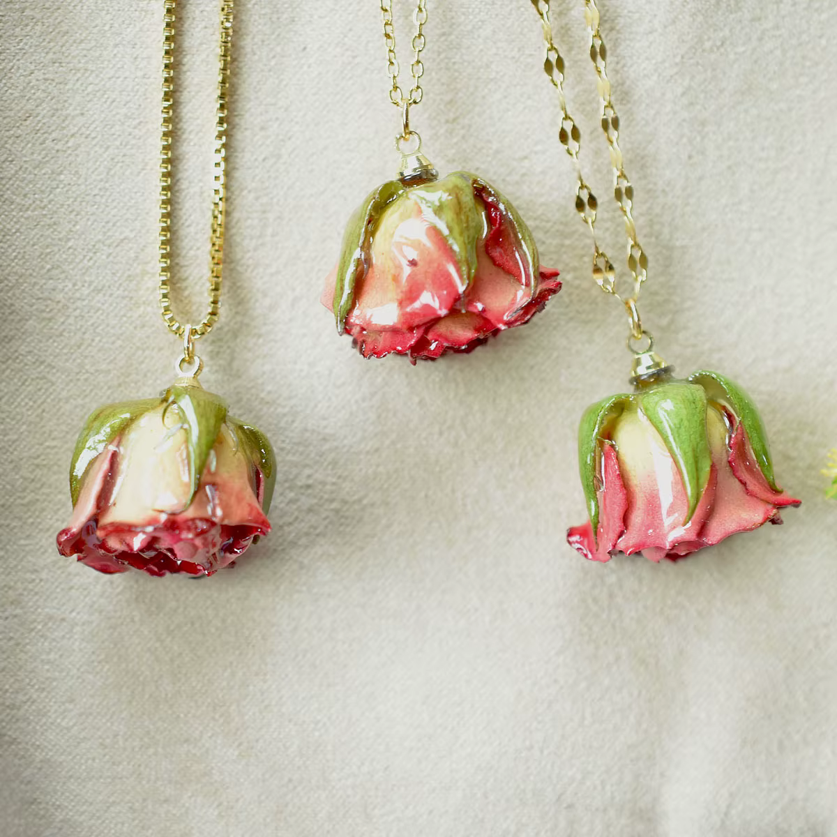 Aqumotic fleurs séchées pour pendentif en résine vraies petites Roses pour l'artisanat pour la fabrication de bijoux décodène crème 10 pièces décorations