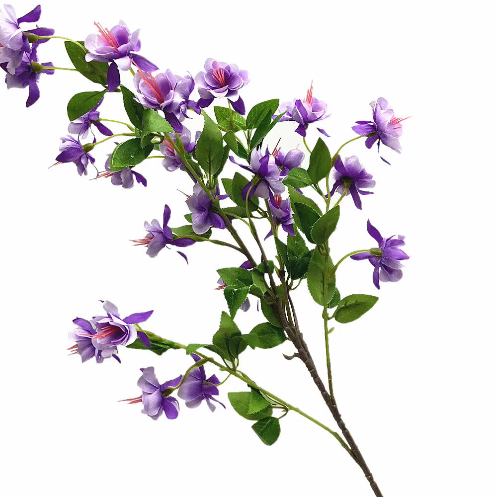 InjForsythia-Fleur de Viridissima Lindl avec Longue Tige