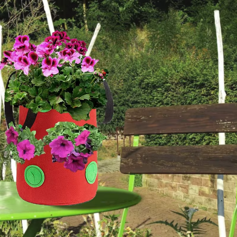 Sac de plantation suspendu pour fraises et tomates