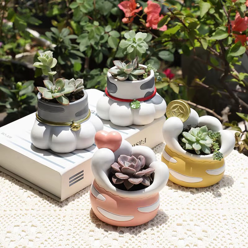 Pot de plantes succulentes en forme de patte de chat