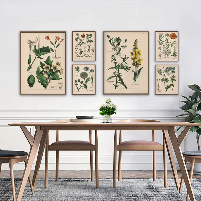 Affiches et imprimés d'herbes botaniques Vintage